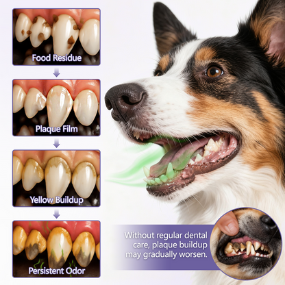Ceoerty® PetOral DentaBrite Oral Gel