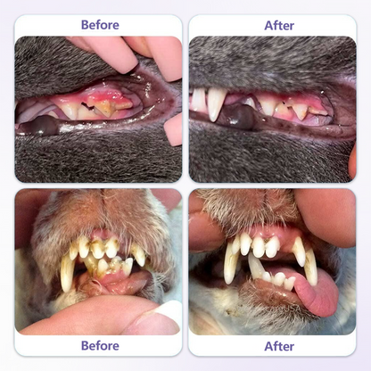 Ceoerty® PetOral DentaBrite Oral Gel