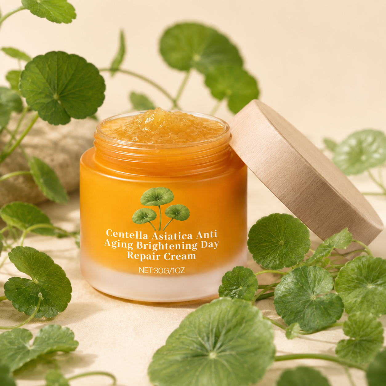 Centella Asiatica Anti-Aging Day Repair Cream