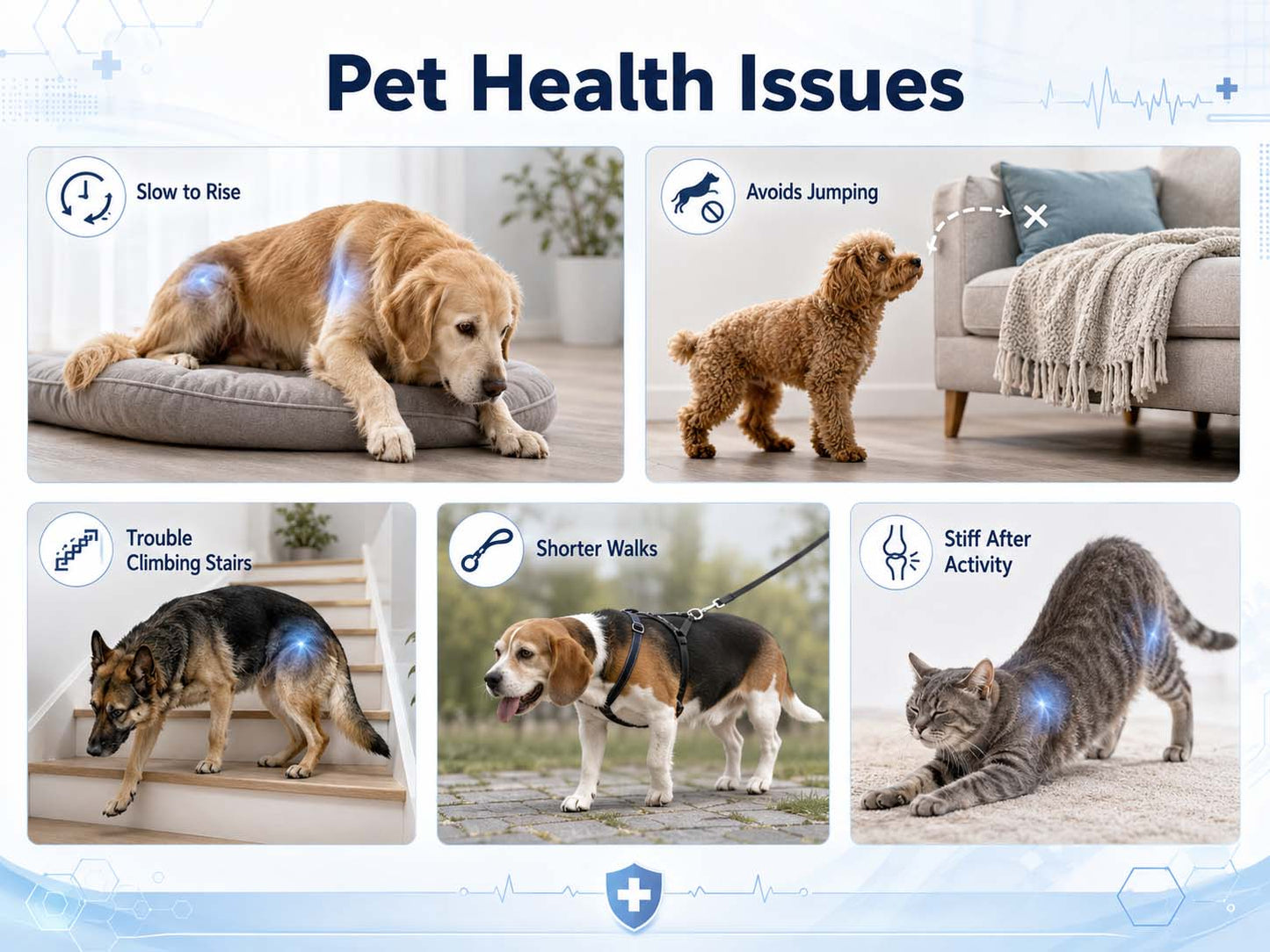 Timilk® FlexiPaws— Comfort & Mobility Drops