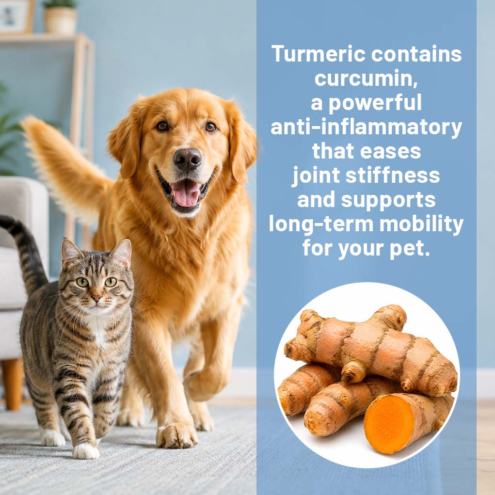 Timilk® FlexiPaws— Comfort & Mobility Drops