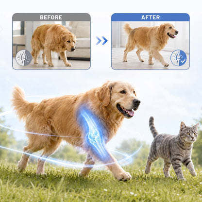 Timilk® FlexiPaws— Comfort & Mobility Drops